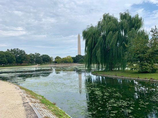 Constitution Gardens